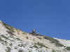 MTB Dolomiten 2006 309.jpg (59666 Byte)
