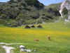 MTB Dolomiten 2006 320.jpg (127947 Byte)