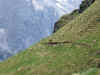 MTB Dolomiten 2006 194.jpg (101742 Byte)